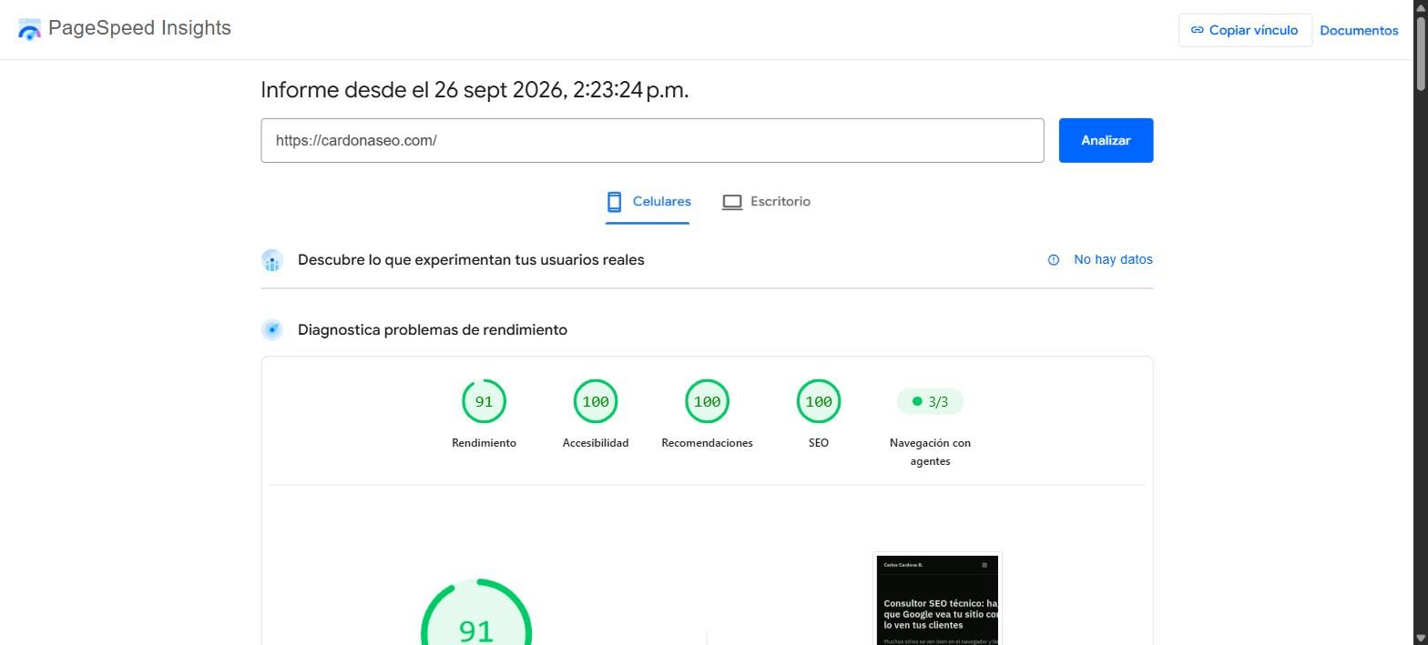 PageSpeed Insights en móvil con 91 en rendimiento y 100 en accesibilidad, recomendaciones y SEO, y la sección de usuarios reales vacía por falta de muestra